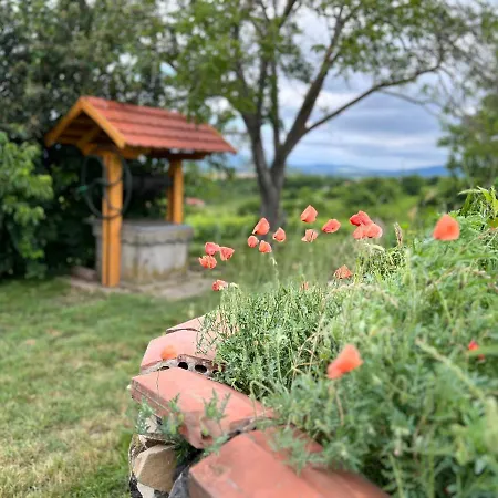 Sarkanyok Haza Vendeghaz - House Of Dragons Raposka