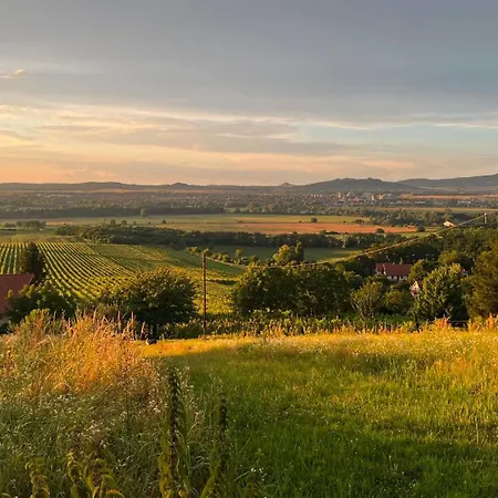 Prázdninový dům Sarkanyok Haza Vendeghaz - House Of Dragons