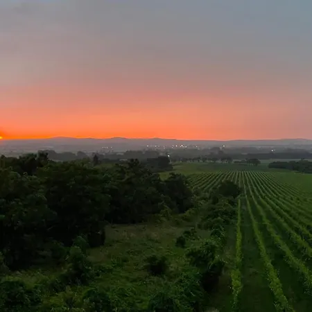 Sarkanyok Haza Vendeghaz - House Of Dragons Prázdninový dům