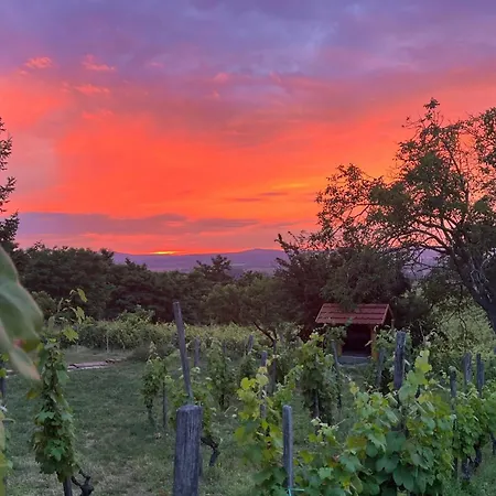 Prázdninový dům Sarkanyok Haza Vendeghaz - House Of Dragons Raposka