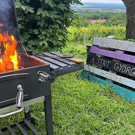 Prázdninový dům Sarkanyok Haza Vendeghaz - House Of Dragons