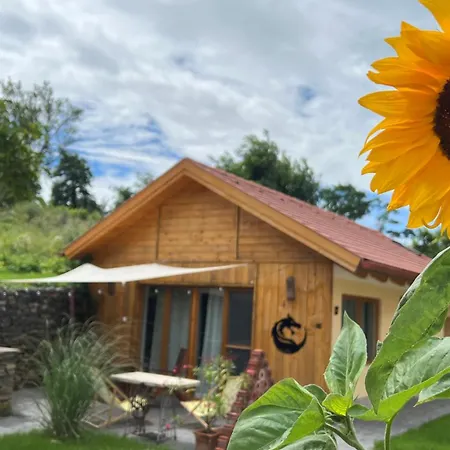 Prázdninový dům Sarkanyok Haza Vendeghaz - House Of Dragons