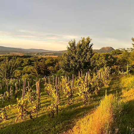 Sarkanyok Haza Vendeghaz - House Of Dragons *