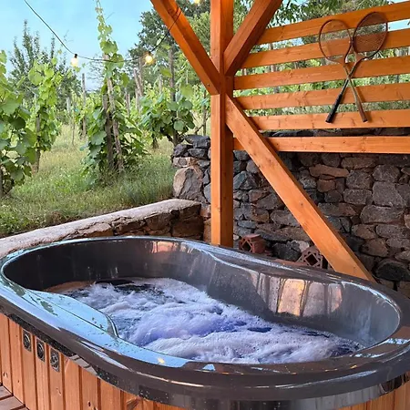 Vakantiehuis Sarkanyok Haza Vendeghaz Balaton - House Of Dragons With Jakuzzi *