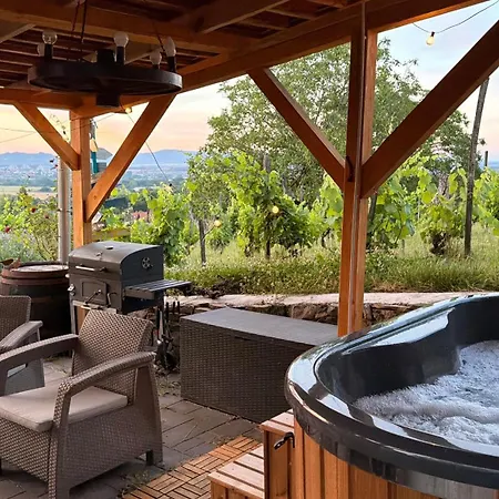 Sarkanyok Haza Vendeghaz Balaton - House Of Dragons With Jakuzzi Raposka