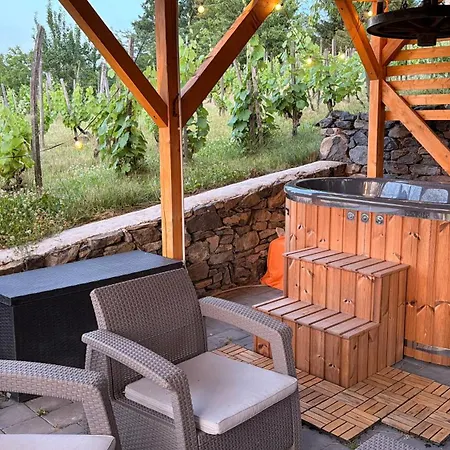 Feriehus Sarkanyok Haza Vendeghaz Balaton - House Of Dragons With Jakuzzi *