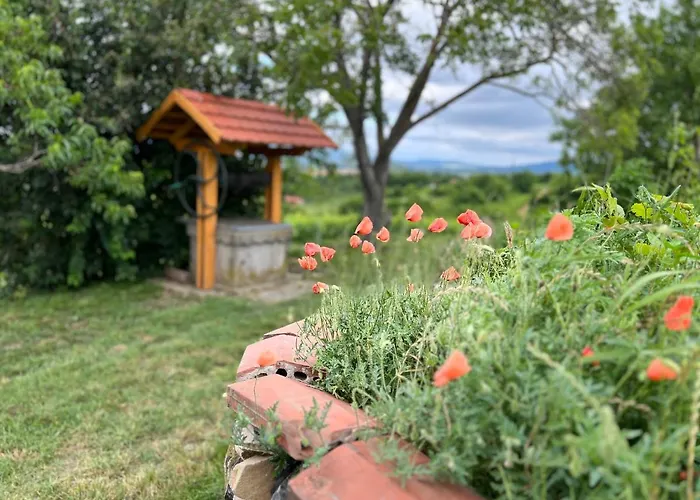 Sarkanyok Haza Vendeghaz - House Of Dragons Raposka