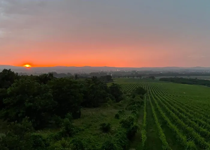 Sárkányok Háza - House Of Dragons Nyaraló