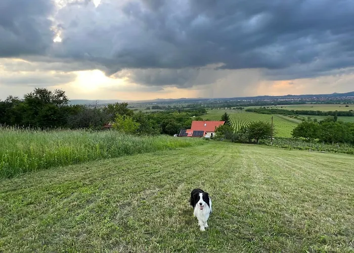 Sárkányok Háza - House Of Dragons Nyaraló *