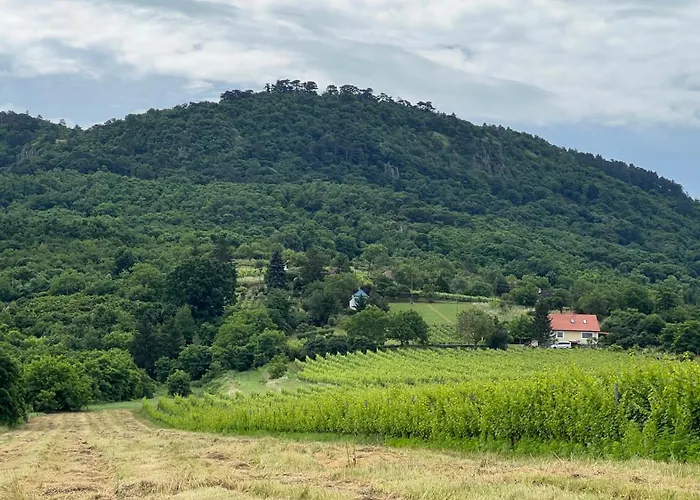 Sarkanyok Haza Vendeghaz - House Of Dragons * Raposka