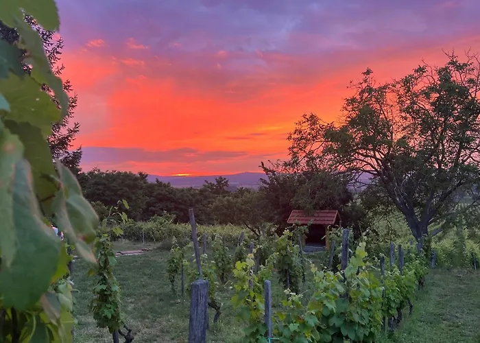 Holiday home Sarkanyok Haza Vendeghaz - House Of Dragons Raposka