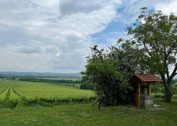 Holiday home Sarkanyok Haza Vendeghaz - House Of Dragons Raposka