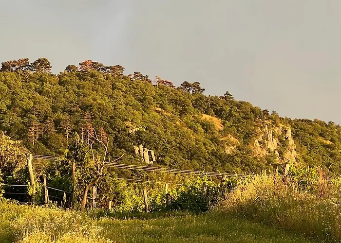 Sárkányok Háza - House Of Dragons Raposka