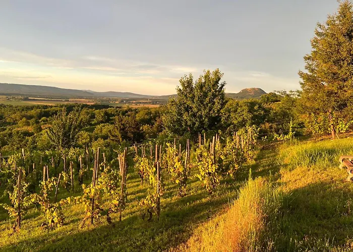 Sárkányok Háza - House Of Dragons *